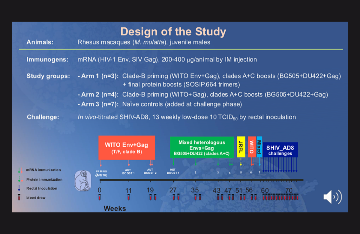 Diapositiva de la presentación del doctor Peng Zhang en la CROI 2021.